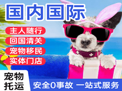 琼海博鳌航空运输国际宠物托运 【国